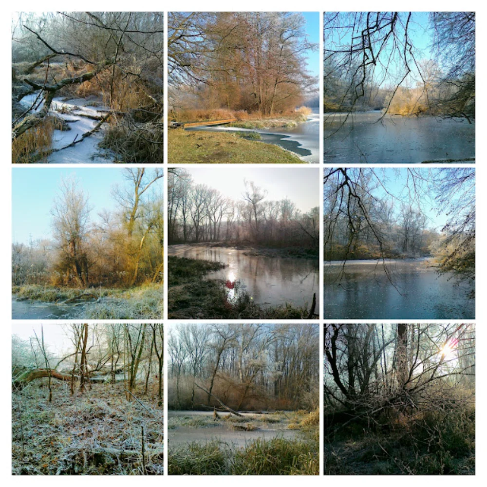 1.1.2017-059-COLLAGE Koláž fotek
