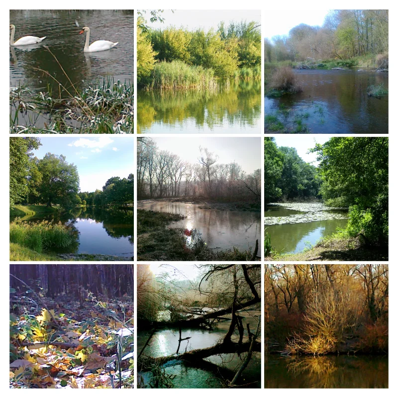 100_4522-COLLAGE koláž z fotografií přírody
