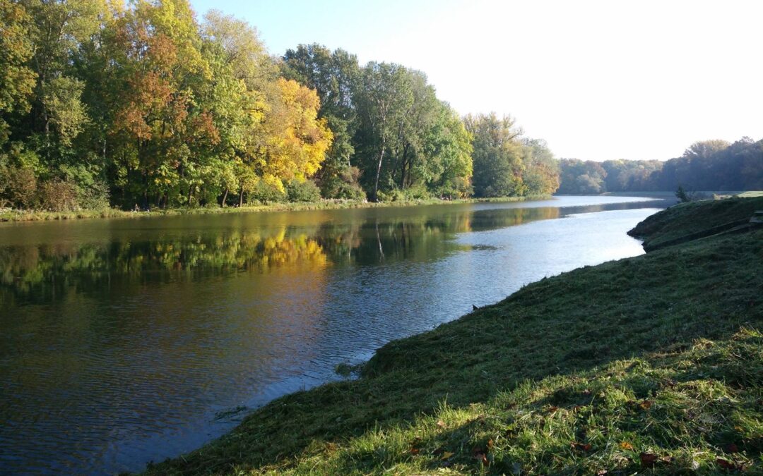 Morava, řeka má